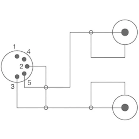 SpeaKa Professional SP-7870640 Connexion DIN / Cinch-RCA Audio Câble De Raccordement [1x Diode Mâle 5 Pôles (DIN) - 2x 2 SpeaKa Professional SP-7870640 Connexion DIN / Cinch-RCA Audio Câble De Raccordement [1x Diode Mâle 5 Pôles (DIN) - 2x – Image 2