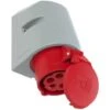 Prise Murale Femelle CEE 16 A 5 Pôles PCE PC Electric 115-6tt 400 V 1 Pc(s)