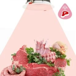 Spot LED Encastrable 30W Spécial Boucherie