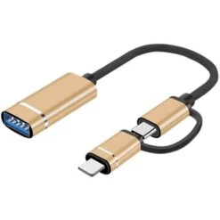 Le Câble OTG 2 En 1 Convient Au Câble Adaptateur TYPEC Câble De DonnéEs Multifonction Universel 2 En 1 Doré
